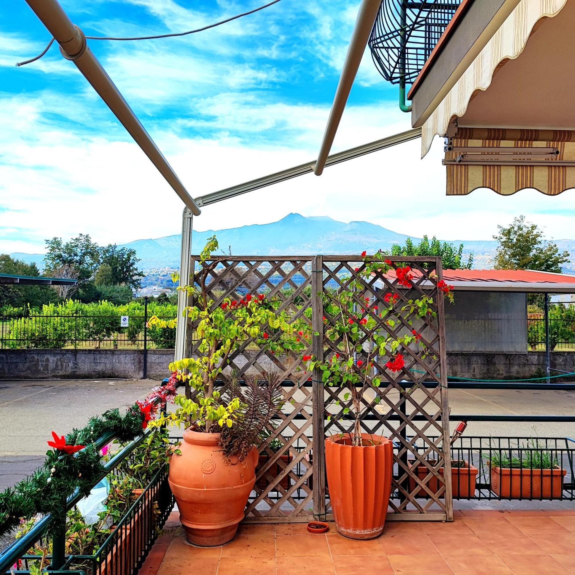 Sea Garden, Fronte Mare Con Piscina Apartment มาสคาลิ ภายนอก รูปภาพ