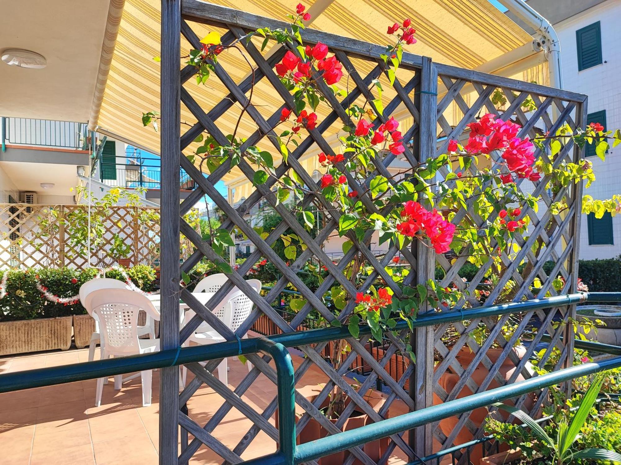 Sea Garden, Fronte Mare Con Piscina Apartment มาสคาลิ ภายนอก รูปภาพ